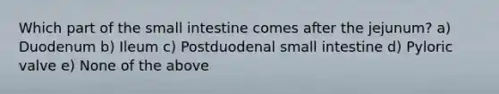 Which part of the small intestine comes after the jejunum? a) Duodenum b) Ileum c) Postduodenal small intestine d) Pyloric valve e) None of the above