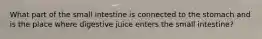What part of the small intestine is connected to the stomach and is the place where digestive juice enters the small intestine?