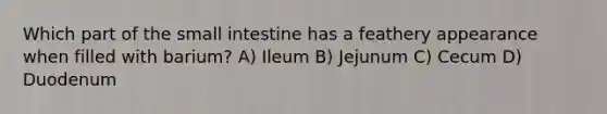 Which part of the small intestine has a feathery appearance when filled with barium? A) Ileum B) Jejunum C) Cecum D) Duodenum