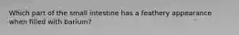 Which part of the small intestine has a feathery appearance when filled with barium?
