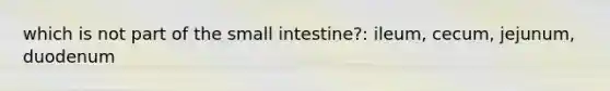 which is not part of the small intestine?: ileum, cecum, jejunum, duodenum