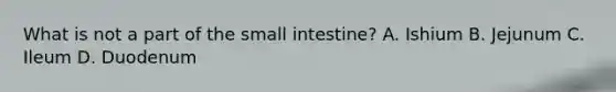 What is not a part of the small intestine? A. Ishium B. Jejunum C. Ileum D. Duodenum