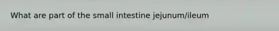 What are part of the small intestine jejunum/ileum