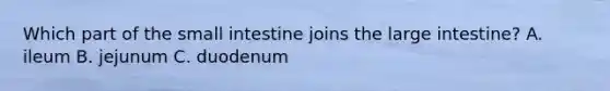 Which part of the small intestine joins the large intestine? A. ileum B. jejunum C. duodenum