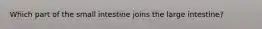 Which part of the small intestine joins the large intestine?