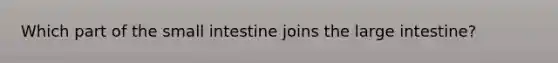 Which part of the small intestine joins the large intestine?