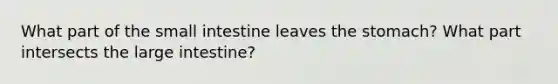 What part of the small intestine leaves the stomach? What part intersects the large intestine?