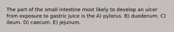 The part of the small intestine most likely to develop an ulcer from exposure to gastric juice is the A) pylorus. B) duodenum. C) ileum. D) caecum. E) jejunum.