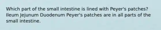 Which part of <a href='https://www.questionai.com/knowledge/kt623fh5xn-the-small-intestine' class='anchor-knowledge'>the small intestine</a> is lined with Peyer's patches? Ileum Jejunum Duodenum Peyer's patches are in all parts of the small intestine.