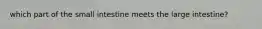 which part of the small intestine meets the large intestine?