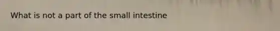 What is not a part of the small intestine