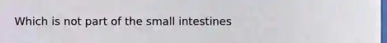 Which is not part of the small intestines