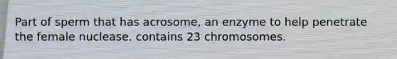 Part of sperm that has acrosome, an enzyme to help penetrate the female nuclease. contains 23 chromosomes.