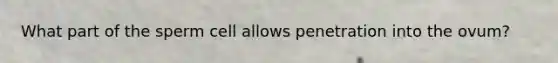 What part of the sperm cell allows penetration into the ovum?