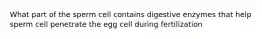 What part of the sperm cell contains digestive enzymes that help sperm cell penetrate the egg cell during fertilization