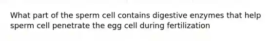 What part of the sperm cell contains digestive enzymes that help sperm cell penetrate the egg cell during fertilization