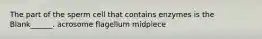 The part of the sperm cell that contains enzymes is the Blank______. acrosome flagellum midpiece