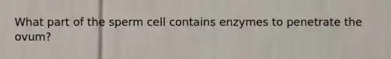 What part of the sperm cell contains enzymes to penetrate the ovum?