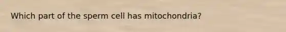 Which part of the sperm cell has mitochondria?