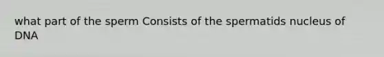 what part of the sperm Consists of the spermatids nucleus of DNA