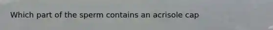 Which part of the sperm contains an acrisole cap