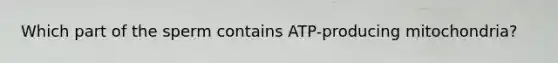 Which part of the sperm contains ATP-producing mitochondria?