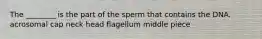 The ________ is the part of the sperm that contains the DNA. acrosomal cap neck head flagellum middle piece