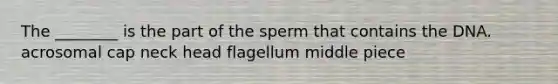 The ________ is the part of the sperm that contains the DNA. acrosomal cap neck head flagellum middle piece