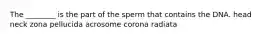 The ________ is the part of the sperm that contains the DNA. head neck zona pellucida acrosome corona radiata