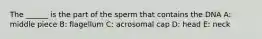 The ______ is the part of the sperm that contains the DNA A: middle piece B: flagellum C: acrosomal cap D: head E: neck