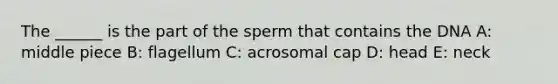 The ______ is the part of the sperm that contains the DNA A: middle piece B: flagellum C: acrosomal cap D: head E: neck