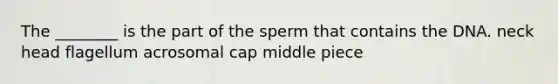 The ________ is the part of the sperm that contains the DNA. neck head flagellum acrosomal cap middle piece