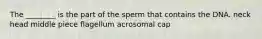 The ________ is the part of the sperm that contains the DNA. neck head middle piece flagellum acrosomal cap