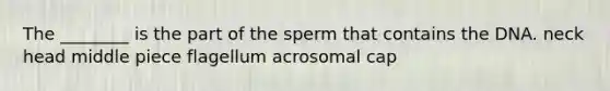 The ________ is the part of the sperm that contains the DNA. neck head middle piece flagellum acrosomal cap