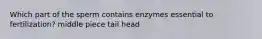 Which part of the sperm contains enzymes essential to fertilization? middle piece tail head