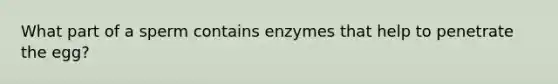 What part of a sperm contains enzymes that help to penetrate the egg?