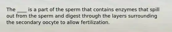 The ____ is a part of the sperm that contains enzymes that spill out from the sperm and digest through the layers surrounding the secondary oocyte to allow fertilization.