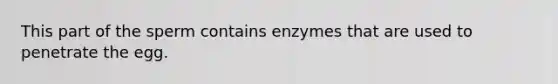 This part of the sperm contains enzymes that are used to penetrate the egg.