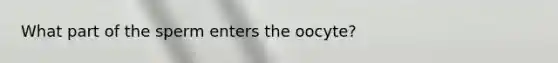 What part of the sperm enters the oocyte?