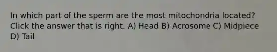 In which part of the sperm are the most mitochondria located? Click the answer that is right. A) Head B) Acrosome C) Midpiece D) Tail