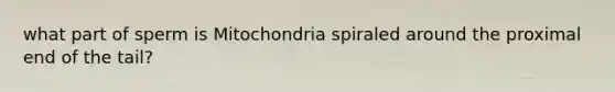 what part of sperm is Mitochondria spiraled around the proximal end of the tail?