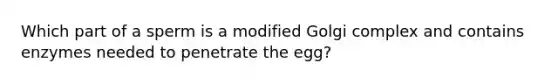 Which part of a sperm is a modified Golgi complex and contains enzymes needed to penetrate the egg?