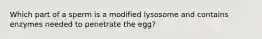 Which part of a sperm is a modified lysosome and contains enzymes needed to penetrate the egg?