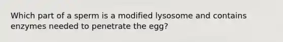 Which part of a sperm is a modified lysosome and contains enzymes needed to penetrate the egg?