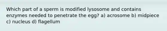 Which part of a sperm is modified lysosome and contains enzymes needed to penetrate the egg? a) acrosome b) midpiece c) nucleus d) flagellum