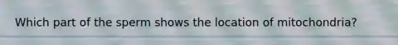 Which part of the sperm shows the location of mitochondria?