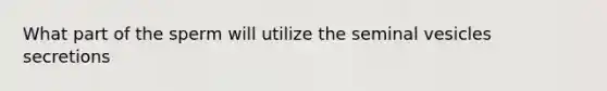 What part of the sperm will utilize the seminal vesicles secretions