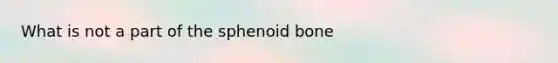 What is not a part of the sphenoid bone