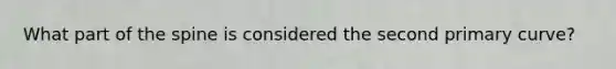What part of the spine is considered the second primary curve?