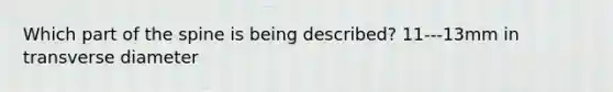 Which part of the spine is being described? 11---13mm in transverse diameter